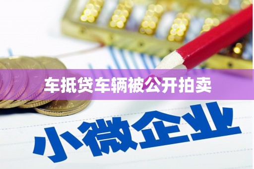 扬中车抵贷车辆被公开拍卖