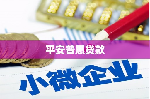 龙潭平安普惠贷款